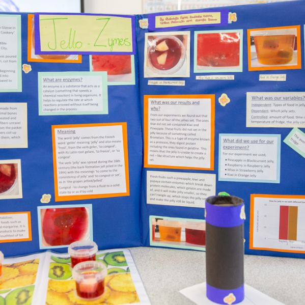 ScienceFair2023]-47